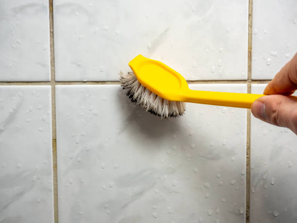 Best Bathroom Mold Remediation in Langley Park, MD
